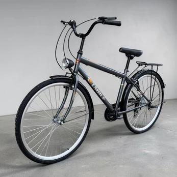 Miesto dviratis Strow 28", pilkas