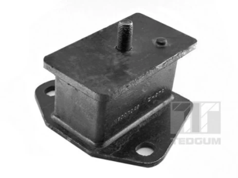 Variklio montavimas TEDGUM 00441699