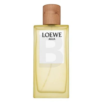 Loewe Agua de Loewe EDT U 100 ml