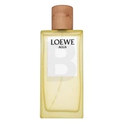Loewe Agua de Loewe EDT U 100 ml kaina