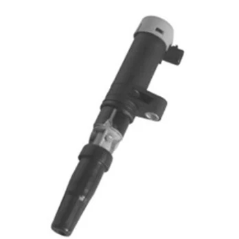 Ritė, uždegimas MAGNETI MARELLI 060717035012