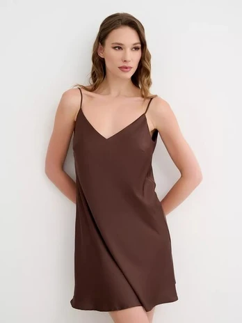 Naktinukai Browny