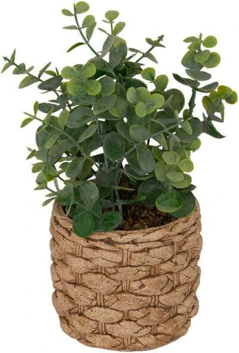 Sztuczny eukaliptus JAYE w ceramicznej doniczce, aukštis 27 cm
