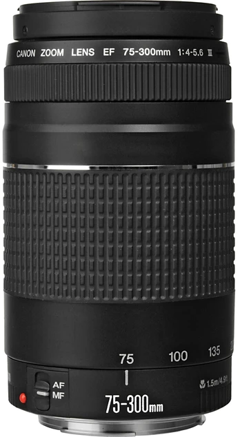 Canon EF 75-300mm F4-5.6 III