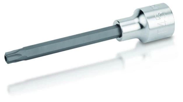 Galvutė TORX TAMPER 1/2" T40
