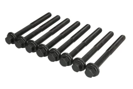 ELRING EL949390 Cylinder head bolt set kaina