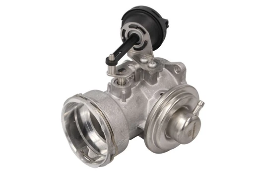 EGR vožtuvas WAHLER WA7451D
