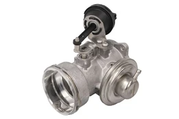 EGR vožtuvas WAHLER WA7451D kaina