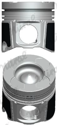 NURAL 87-137500-30 Piston