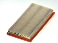 Oro filtras FILTRON AP022/5 kaina