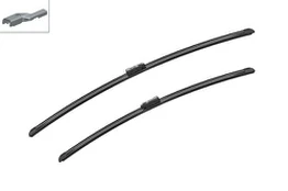 Valytuvai BOSCH 3397007120