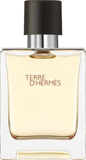 Tualetinis vanduo Hermes Terre d'Hermes EDT vyrams 50 ml kaina