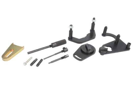 PINDUR Camshaft timing lock tool set, RENAULT, 2.0D dCi, timing chain,