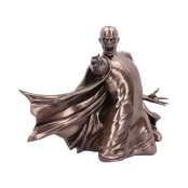 Harry Potter Voldemort Avada Kedavra kaina