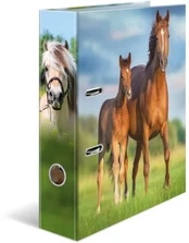 HERMA Ordner A4 Karton Pferd