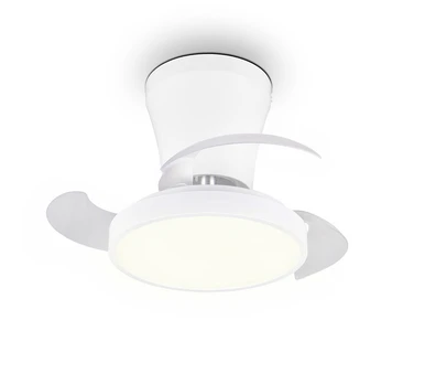 Lubinis ventiliatorius su lempa Reality Moss, 13 W, 1 vnt.