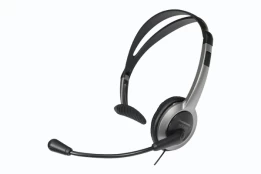 Ausinės Panasonic RP-TCA430E-S kaina