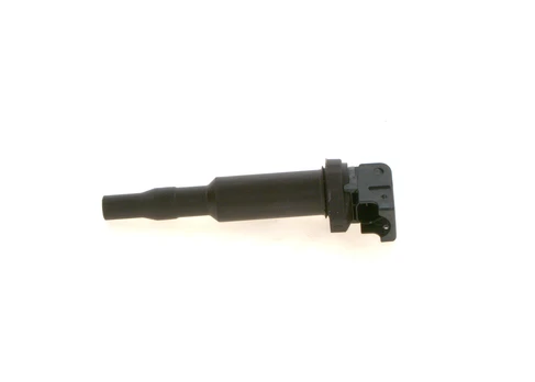 Ritė, uždegimas BOSCH 0 221 504 464