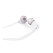 Ausinės Aiwa ESTM-50 kaina