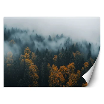 Fototapetai, Miškas rūko peizaže