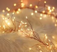 TelForceone String Light COPPER TWIG CLF-02 480LED šiltai balta 3m + 5m laidas Forever Light kaina