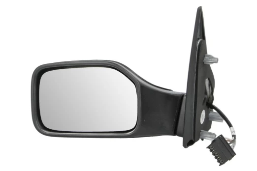 BLIC 5402-04-1125289P Wing mirror