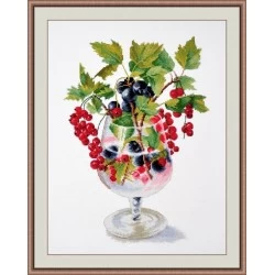 Currant S882