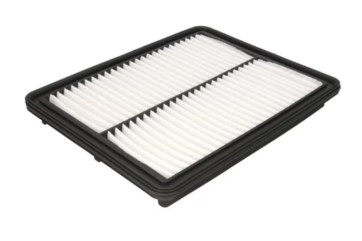 Oro filtras FILTRON AP182/5