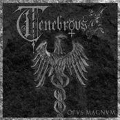 CD Tenebrous - Opus Magnum