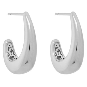 Auskarai Guess JUBE06 430JW Sidabrinė