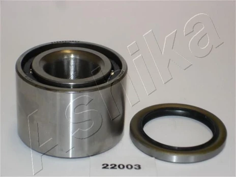 Rato guolio komplektas ASHIKA 44-22003