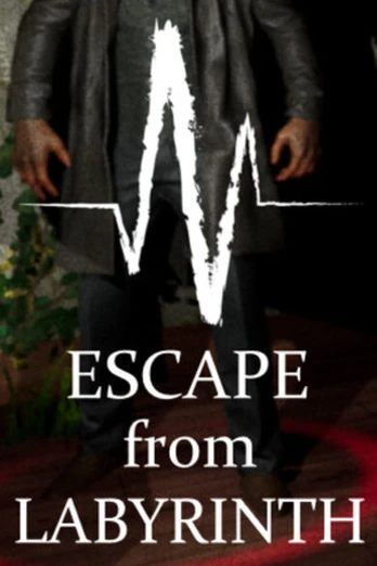 Escape from Labyrinth PC