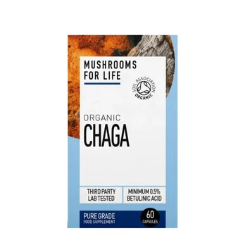 Maisto papildas „Organic Chaga”