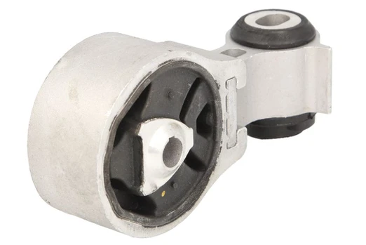 Variklio montavimas SASIC 2700247
