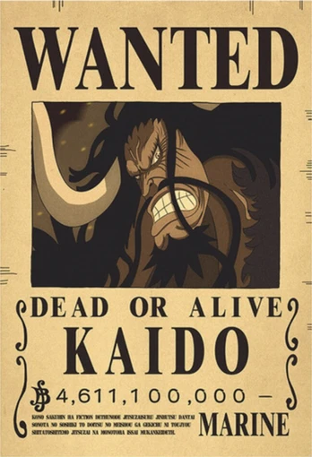Plakatas One Piece