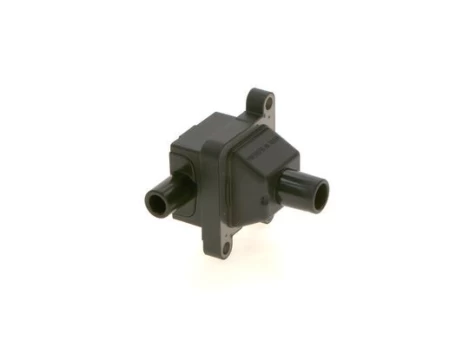 Ritė, uždegimas BOSCH 1 227 030 059