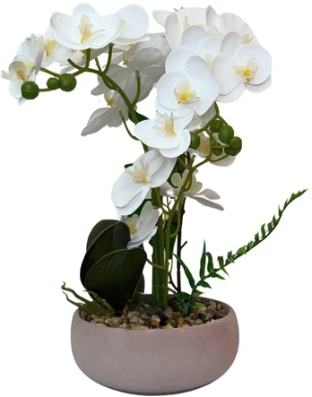 Dirbtinė orchidėja vazone