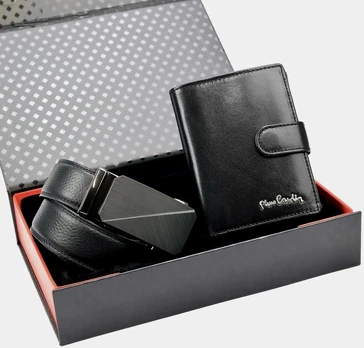Pierre Cardin ZG-205-BA