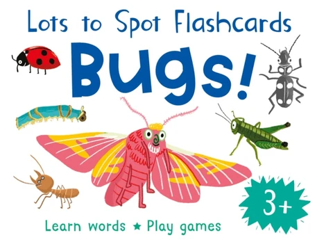 Lots to Spot Flashcards: Bugs!