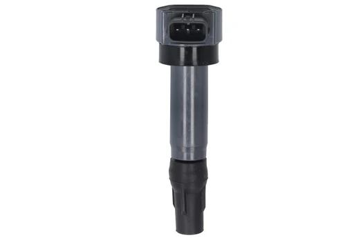 Ritė, uždegimas BorgWarner (BERU) ZSE206