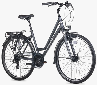 Dviratis Unibike Vision LDS 2026 pilkas-M / 17" (Dydis: M / 17")