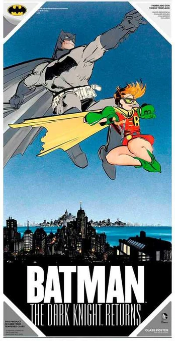 Sd Toys DC Comics Batman and Robin glass poster