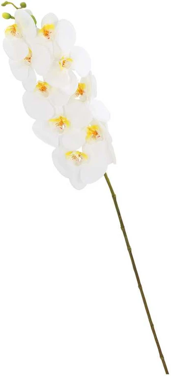 Orchidėja sode H92cm, balti falenopsiai