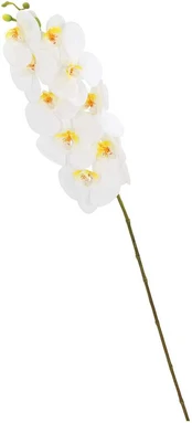 Orchidėja sode H92cm, balti falenopsiai kaina