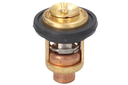 termostatas, aušinimo skystis T15-04000010