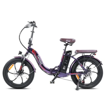 Elektrinis dviratis Fafrees F20 Pro 20", violetinis