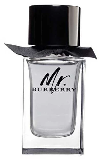 Burberry Mr. Burberry Eau De Toilette 100ml kvepalai