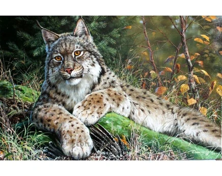 Deimantinė mozaika Collection D'Art 48х38 cm, DE7146