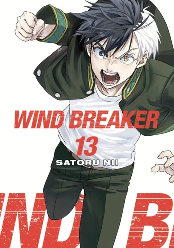 WIND BREAKER 13