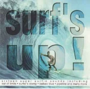 CD Various - Surfs Up!
